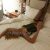Avrupayakası Otele Gelen Escort Melis - Resim2 Avrupayakası Otele Gelen Escort Melis - Resim2