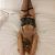 Avrupayakası Otele Gelen Escort Melis - Resim6 Avrupayakası Otele Gelen Escort Melis - Resim6